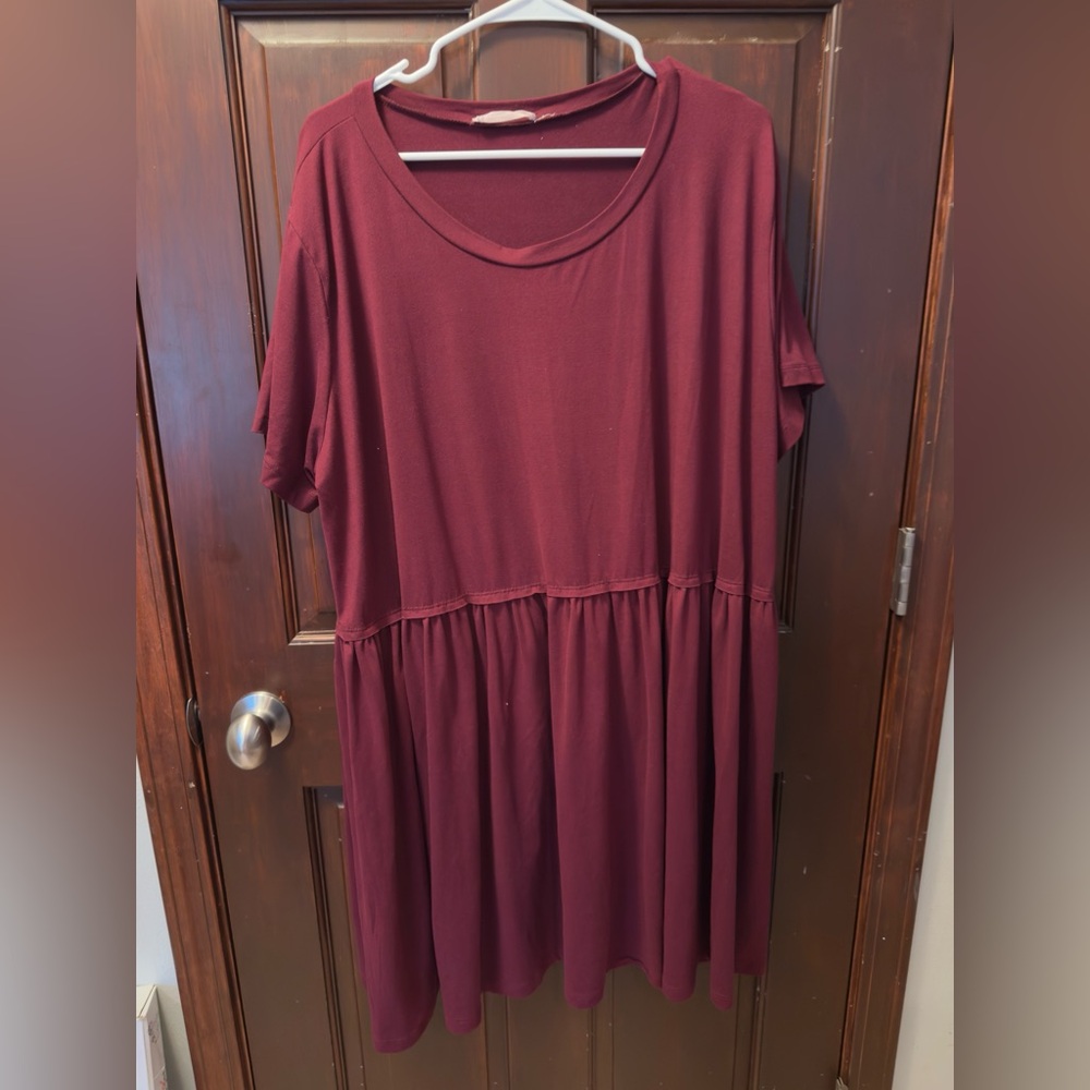 Entro Burgundy Mini Dress